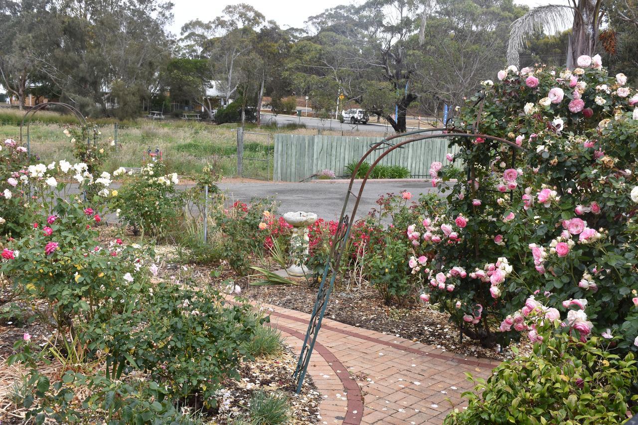 Mount Barker Valley Views Motel & Chalets, Western Australia エクステリア 写真