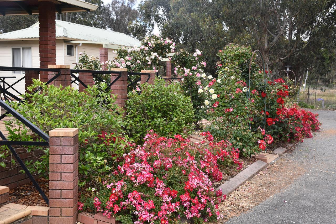 Mount Barker Valley Views Motel & Chalets, Western Australia エクステリア 写真