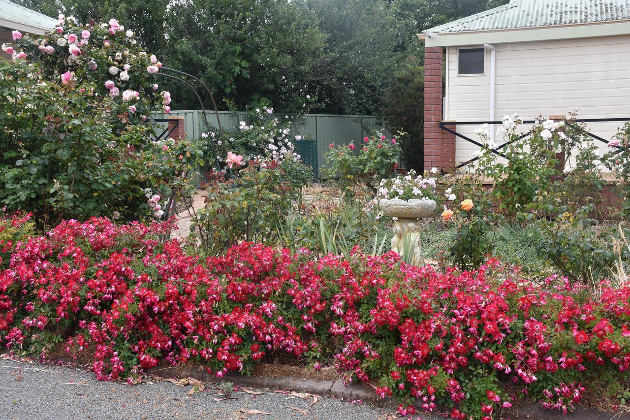 Mount Barker Valley Views Motel & Chalets, Western Australia エクステリア 写真